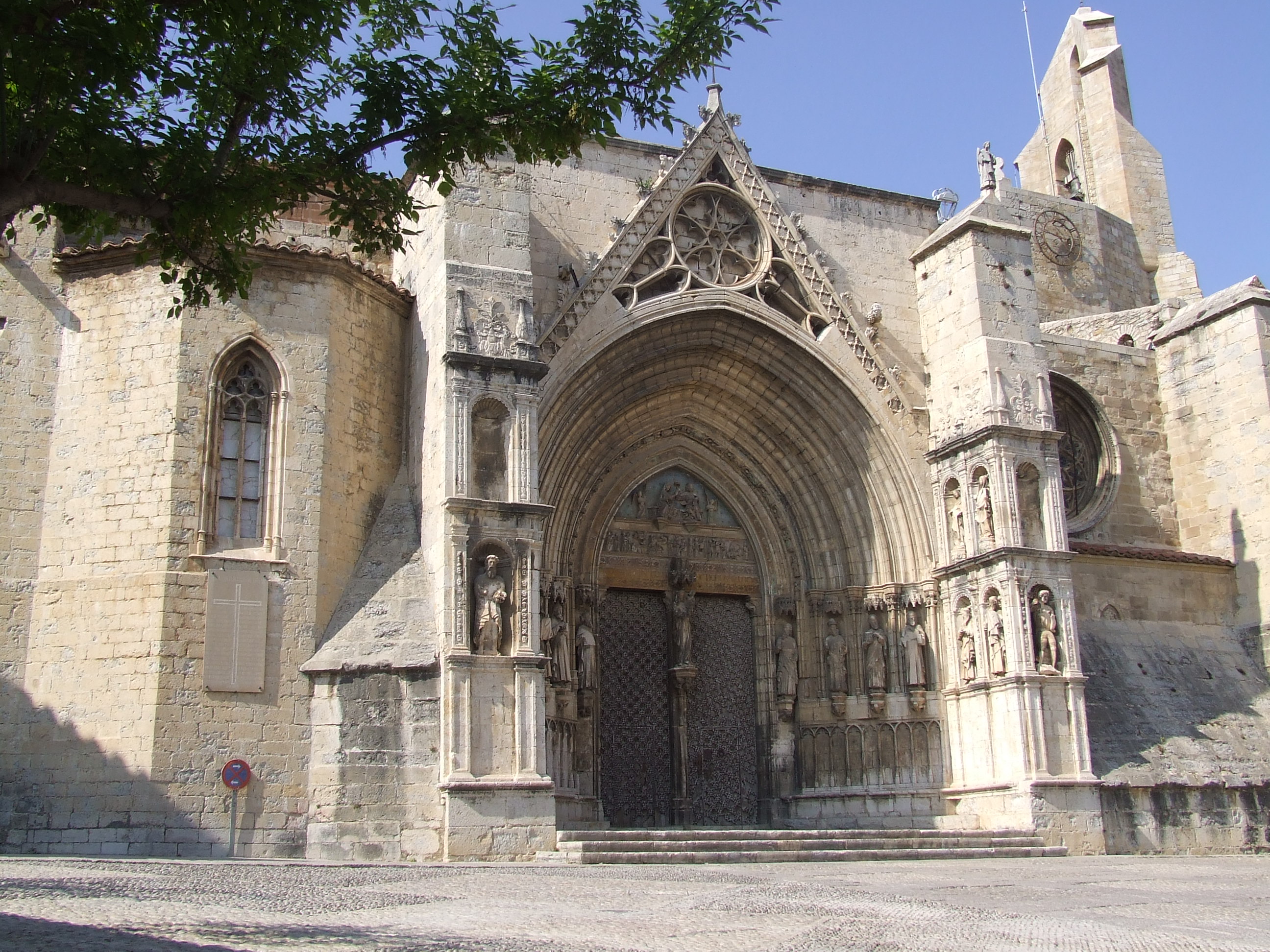 Morella