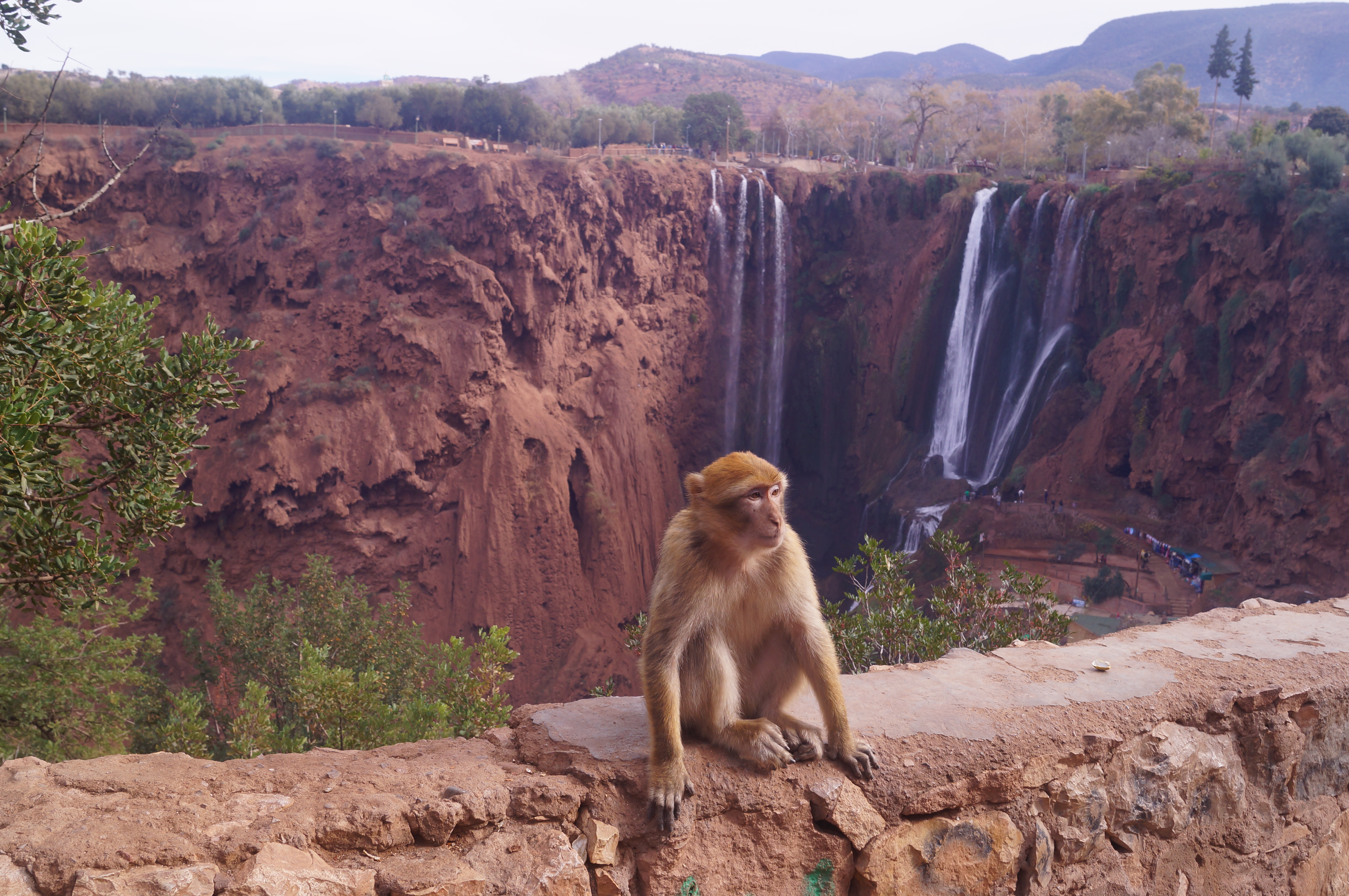 Cascades d'Ouzoud au Maroc - LG Voyages
